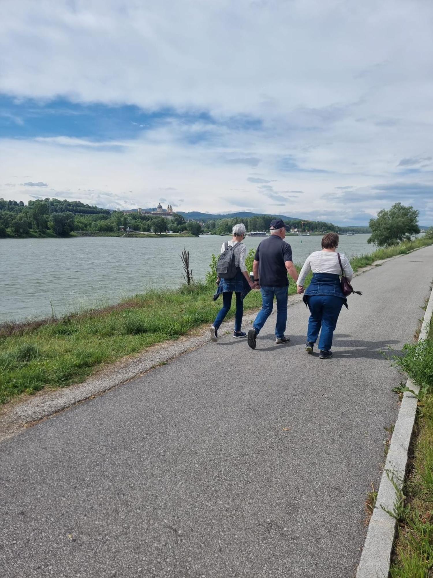 Gasthof Weidenauer- Gabi'S Cafe Hotel Emmersdorf an der Donau Ngoại thất bức ảnh